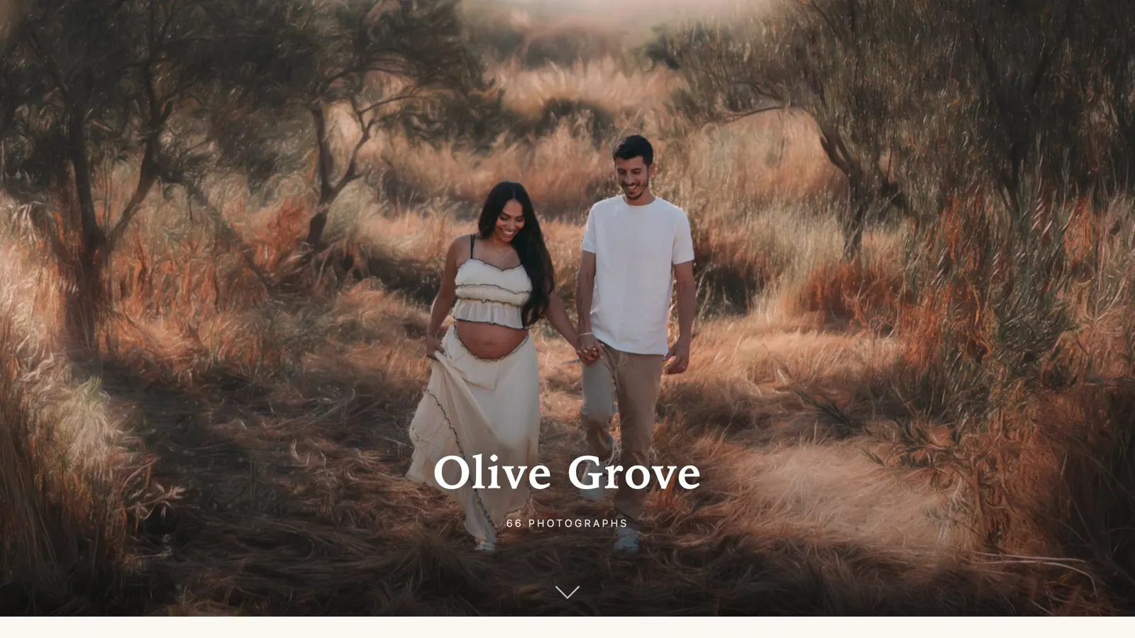A finished client gallery: a full-bleed cover photograph of a maternity session in an olive grove, the gallery title Olive Grove, and the line 66 photographs.